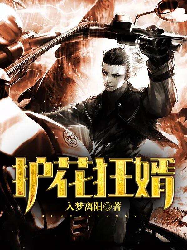 护花狂龙免费全文阅读 护花狂龙免费全文阅读