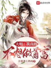 大明我真的不想做首富 大明我真的不想做首富