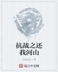 抗战之还我河山TXT 抗战之还我河山TXT