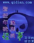 这些年遇到的人经历的事 这些年遇到的人经历的事