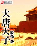 大唐天子之宝印章 大唐天子之宝印章