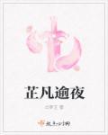 芷凡逾夜 芷凡逾夜